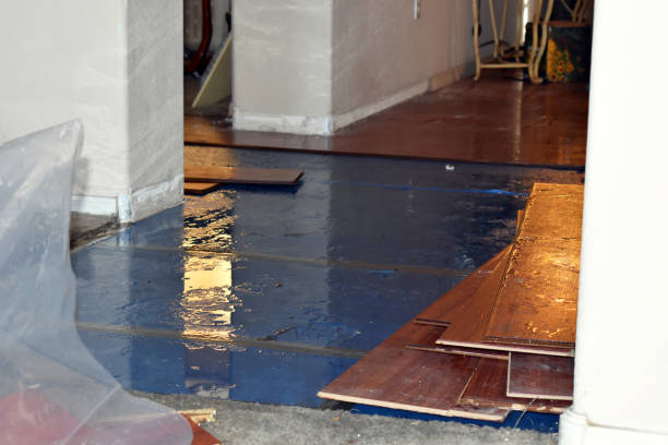 Professional Burst Pipe Cleanup technician working in Bryan, TX